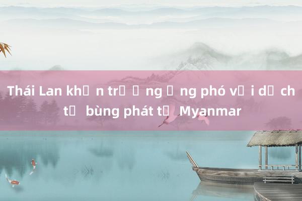 Thái Lan khẩn trương ứng phó với dịch tả bùng phát từ Myanmar