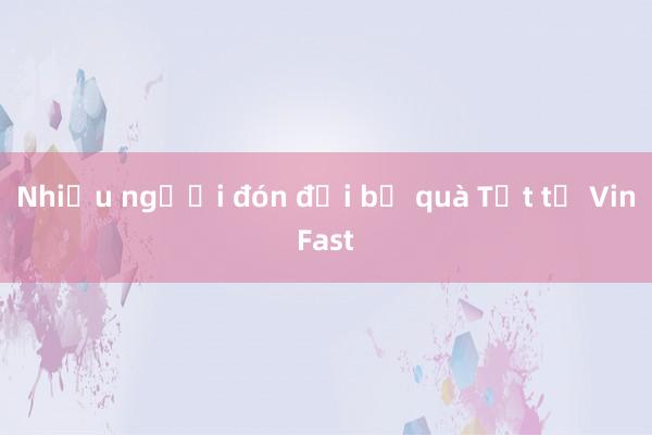 Nhiều người đón đợi bộ quà Tết từ VinFast