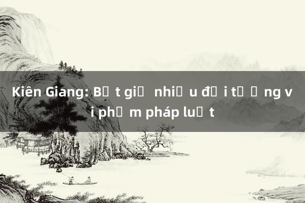 Kiên Giang: Bắt giữ nhiều đối tượng vi phạm pháp luật