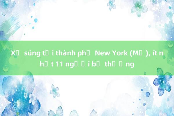 Xả súng tại thành phố New York (Mỹ)，
<a href=